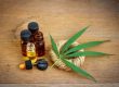 CBD-hempoil
