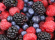 Berries
